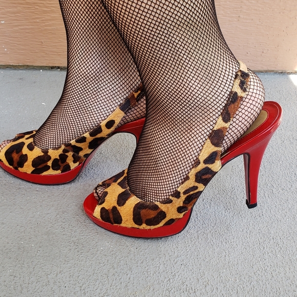 Cats n' Kittens - Picture 5 of 5